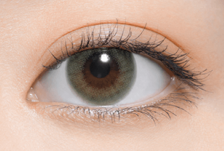 Color Contact Lenses - Koala Gray(コアラグレー) – よしミチ Color Contact Lenses - Koala Gray(コアラグレー) – よしミチ