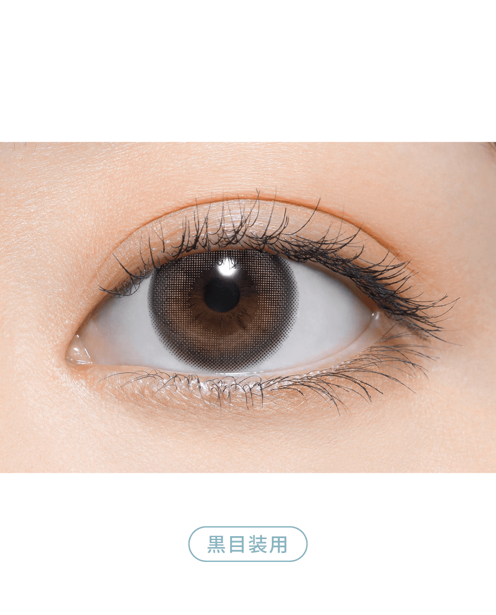 Color Contact Lenses - 02 Teddy Brown(テディブラウン) – よしミチ Color Contact Lenses - 02 Teddy Brown(テディブラウン) – よしミチ
