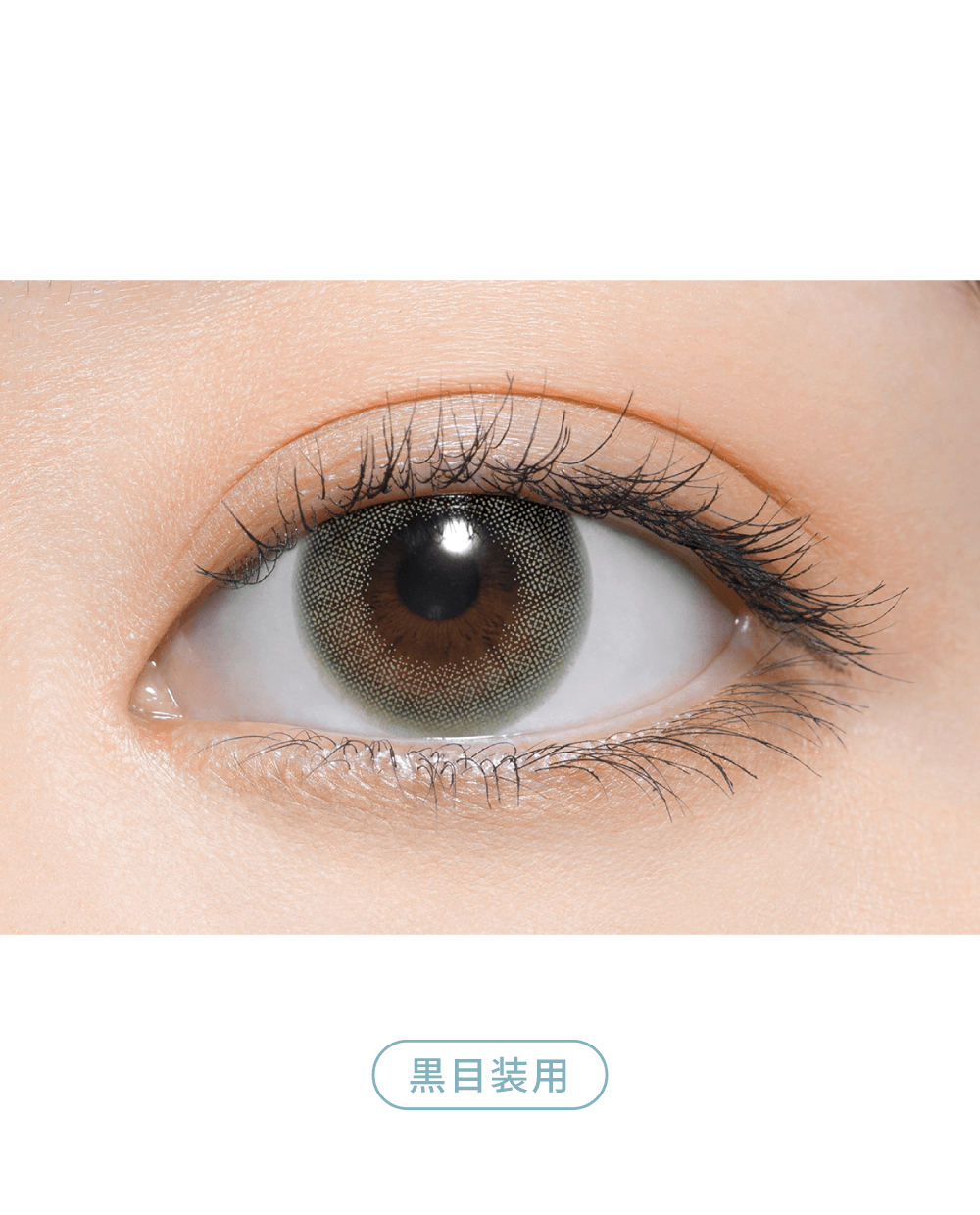 Color Contact Lenses - 04 Palm Green（パームグリーン） – よしミチプロデュース カラコン